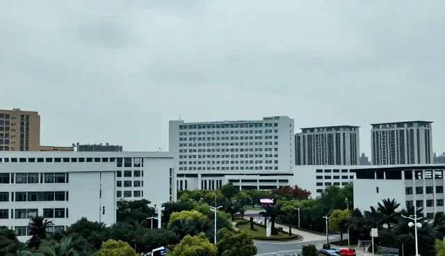区域化部署在企业推广中的关键选型考量